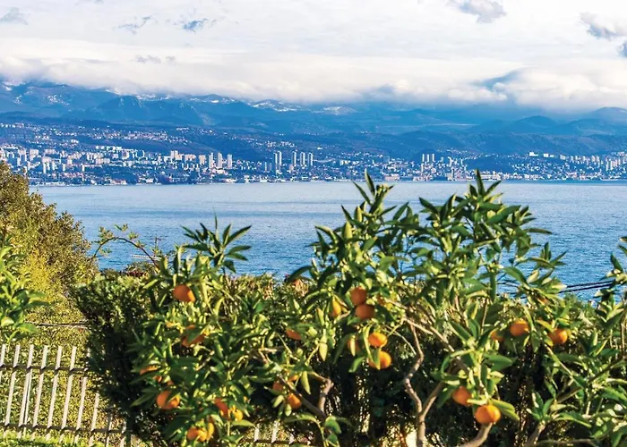 Διαμέρισμα Pet Friendly In With Wifi Ika